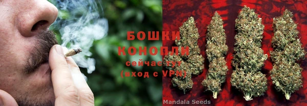 каннабис Абаза