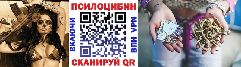 мориарти какой сайт Орск Псилоцибиновые грибы Psilocybe