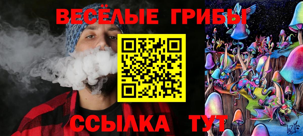 Псилоцибиновые грибы прущие грибы  Галлюциногенные грибы Psilocybe  Вход с VPN  Орск 